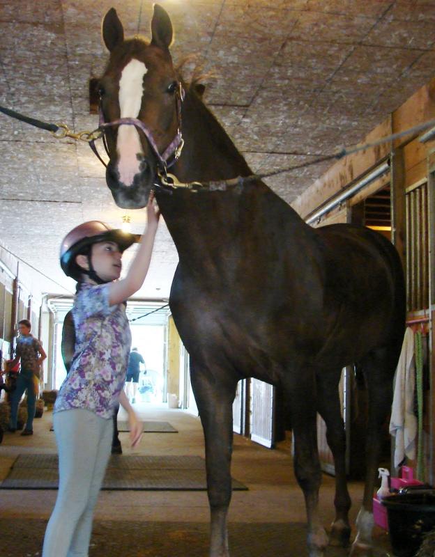 Caroline Cadorette grooms Ellie. SUSAN JOHNS/Wiscasset Newspaper Caroline Cadorette grooms Ellie. SUSAN JOHNS/Wiscasset Newspaper