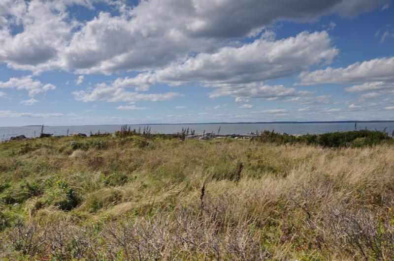 Damariscove, which is located five miles east from Boothbay Harbor, has been among other things, a place for Abenaki tribes to gather food, a place for drying fish, a Coast Guard station, a safe harbor and now a preserve for wildlife. BEN BULKELEY/Boothbay Register