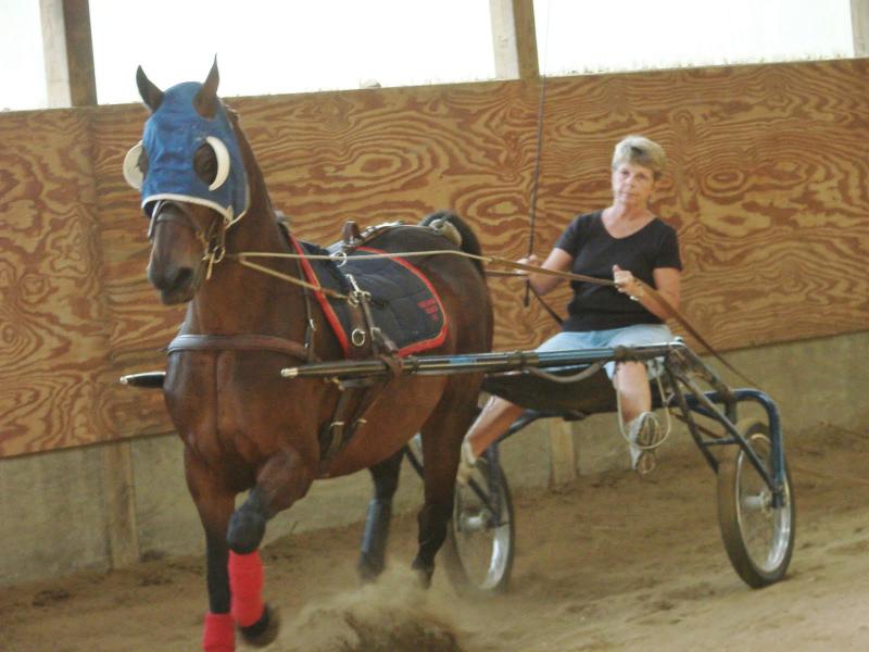 Joanne Lewis drives Patty as the two continue training for next month's show in Oklahoma. Below, Katie Yereance, left, stands with the farm's owner, Dawn Murphy. In the bottom photo, Caroline Cadorette grooms Ellie. SUSAN JOHNS/Wiscasset Newspaper Joanne Lewis drives Patty as the two continue training for next month's show in Oklahoma. SUSAN JOHNS/Wiscasset Newspaper