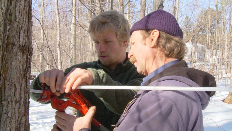 Rob Johanson and his son Carl prepare for the maple syrup season. “An Uncertain Harvest” highlights the Goranson family farm in 2009. The film screened November 25 at the Harbor Theatre. Below: Jan Goranson and her husband Rob Johanson run Goranson Farm in Dresden. Goranson has preserved the family farm since her father passed when she was 26. Courtesy of Bill Kunitz Rob Johanson and his son Carl prepare for the maple syrup season. “An Uncertain Harvest” highlights the Goranson family farm in 2009. The film screened November 25 at the Harbor Theatre. Courtesy of Bill Kunitz