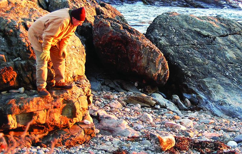 Waldman and the seal survey each other. Courtesy of Sue Goodrich Waldman and the seal survey each other. Courtesy of Sue Goodrich