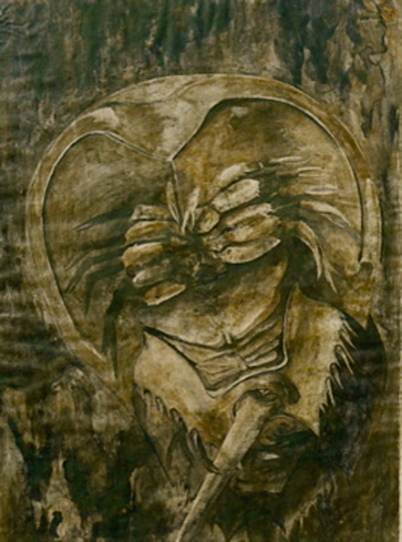 "Horseshoe Crab," 24 by 18-inch pen and ink drawing with beef bouillon.