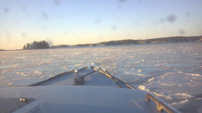 The scene from the boat headed out to Squirrel Island to work on Thursday, January 9. Courtesy of Rob Hopkins