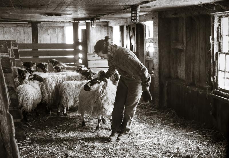 “Farm Worker” by Nina Fuller, archival digital print, 17 by 22 inches, Nina Fuller. Nina Fuller