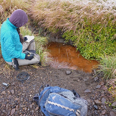Summer research assistant Frances Iannucci takes measurements and prepares to collect samples. The mineral soils are underlain by permafrost constraining the movement of surface water that creates conditions ideal for the oxidation and reduction of iron. Microbial mats dominated by iron-oxidizing bacteria can form in pools (shown here), small ponds and wet sedge meadows. These iron mats have the potential to influence biogeochemical processes in the tundra by acting as a source of primary production. The iron oxides can also act as terminal electron acceptors for bio-mineralization coupled to iron reduction; furthermore, the iron cycle may play an important role in controlling phosphorus dynamics. Courtesy of Joshua Benes/University of Vermont
