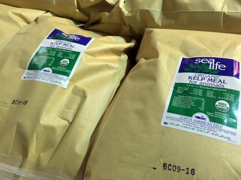 The kelp meal eventually winds up in 50-pound bags. SUZI THAYER/Boothbay Register