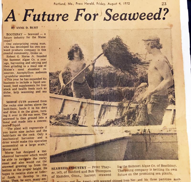 A story ran in the August 4, 1972 issue of the Portland Press Herald with the headline: 'A Future for Seaweed?'