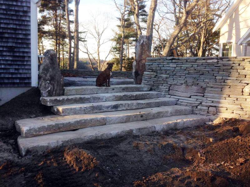 Sasso (Italian for stone), Joe Norton’s dog, sits atop granite steps constructed by his dad. Courtesy of Joe Norton Dog