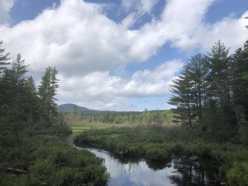 #bird-column, #katahdin-woods-and-waters-national-monument, #jeff-and-allison-wells, #birds, #boothbyay-register, #maine