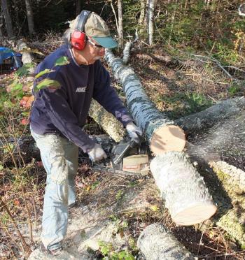 Fowle bucks up a birch tree on Southport with a chainsaw he said he salvaged from the scrap pile at the Boothbay Transfer Station. RYAN LEIGHTON/Boothbay Register