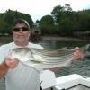 Tim Brown of Brown's Wharf Marina caught and released this 30-inch striper in local waters during an evening trip on June 24 aboard the “Shark Six.” Courtesy of Capt. Barry Gibson