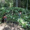 Maeve and Ronan Cullina enjoy the new twig tunnel in the Children's Garden at Coastal Maine Botanical Gardens. The tunnel, a group project led by artisan-in-residence Susan Perrine, will remain throughout the summer and beyond. Courtesy of Melissa Cullina
