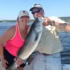 Kate White of Luray, Va. and Squirrel Island caught and released her first striped bass, a 32-incher, with Capt. Barry Gibson on July 4. Local charter boat skippers are reporting good catches of stripers. Courtesy of Bill White