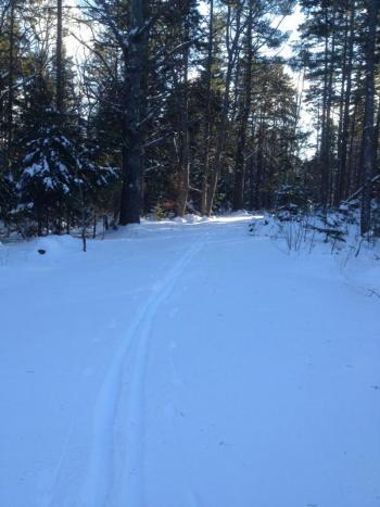 The School House Pond Trail on Barter's Island is a perfect spot for a quick winter ski. SUE MELLO/Boothbay Register