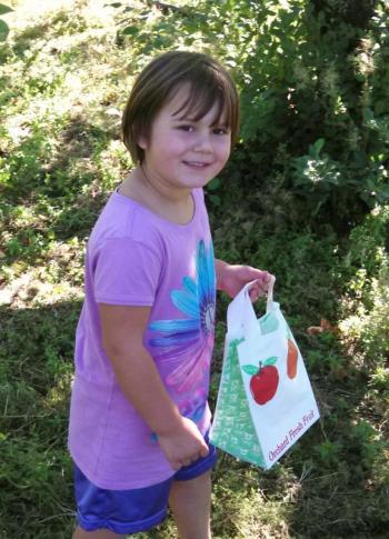 Ella Watts of Southport begins picking apples at Clark’s Cove Farm in Walpole. KEVIN BURNHAM/Boothbay Register