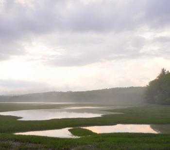 Maine's Tidal Marshes at The Lincoln Home July 25 