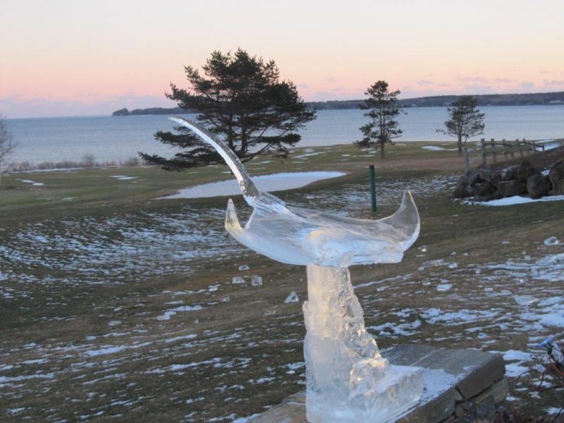 Pierce's Manta Ray ice carving, which won first place awards in Jackson, N.H. KAY STEPHENS/Pen Bay Pilot Pierce's Manta Ray ice carving, which won first place awards in Jackson, N.H. KAY STEPHENS/Pen Bay Pilot