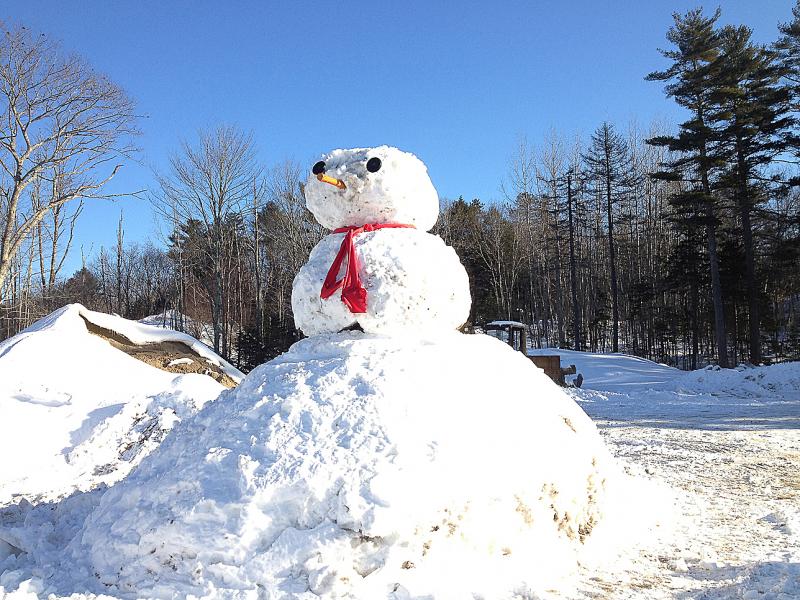 Snowlady Snowlady
