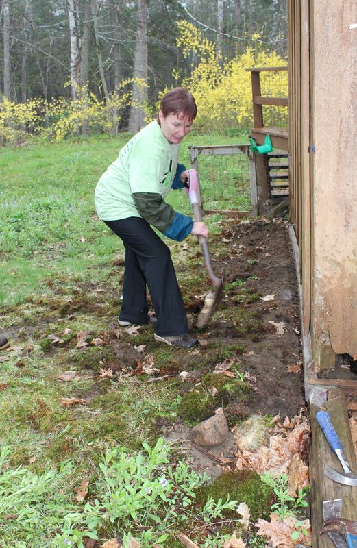 Lorri HIggins clears along a house's edge to prepare for new siding on King Phillips Trail. SUE MELLO/Boothbay Register Lorri HIggins clears along a house's edge to prepare for new siding on King Phillips Trail. SUE MELLO/Boothbay Register