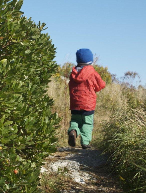 A young boy explores Damariscove Island, one of BRLT’s 22 preserves. Over 30 miles of hiking trails are available throughout the region. The land trust is raising money to sustain its hiking trails, boat access/working waterfront, and year-round education program. Courtesy of the Boothbay Region Land Trust A young boy explores Damariscove Island, one of BRLT’s 22 preserves. Over 30 miles of hiking trails are available throughout the region. The land trust is raising money to sustain its hiking trails, boat access/working waterfront, and year-round education program. Courtesy of the Boothbay Region Land Trust