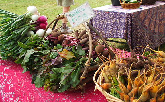 Some of the fresh local vegetables at the Boothbay Farmers Market. SUZI THAYER/Boothbay Register Some of the fresh local vegetables at the Boothbay Farmers Market. SUZI THAYER/Boothbay Register