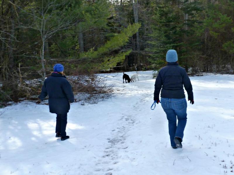 Stockwell, right, and Hall, left, follow Ella and Cedar on a snow-covered path at Penny Lake. KATRINA CLARK/Boothbay Register
