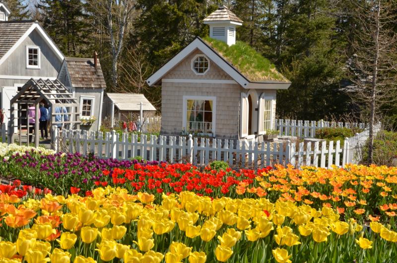 Maine Days 2014 At The Coastal Maine Botanical Gardens Boothbay