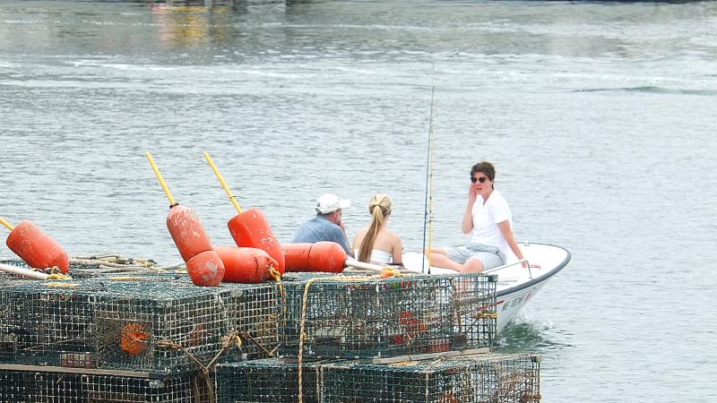 A BOSTON WHALER heads out into the harbor in search of a cool breeze on a hot day in the harbor. SUZI THAYER/Boothbay Register