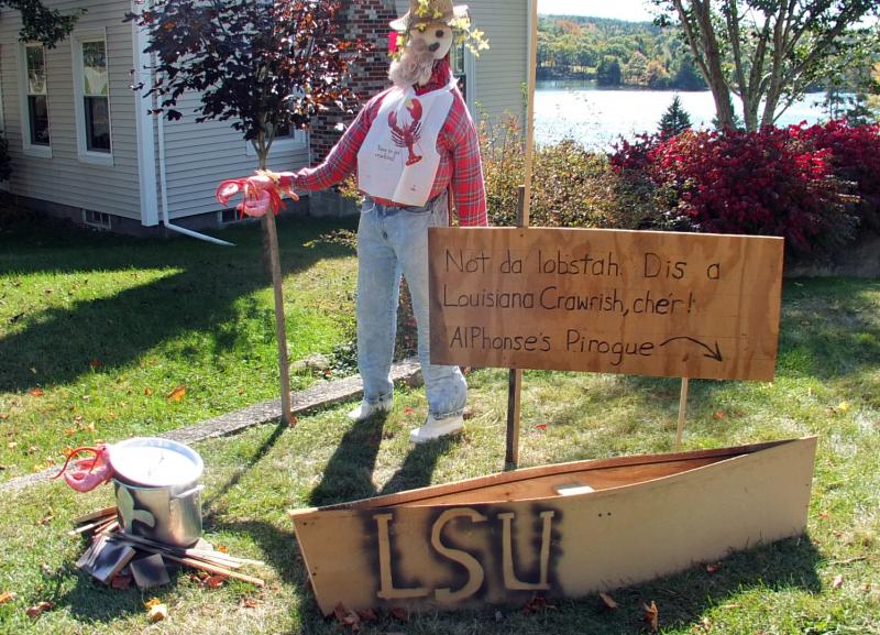 This scene out of the bayous of Louisiana has to be seen. SUZI THAYER/Boothbay Register