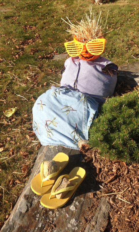 This scarecrow is taking some sun on a lawn on Murray Hill Road. Courtesy of Holly Fulmer