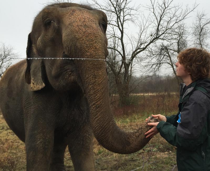 Henry says hello to Rosie. (Photo by Lynda Clancy) hope elephants (1499)