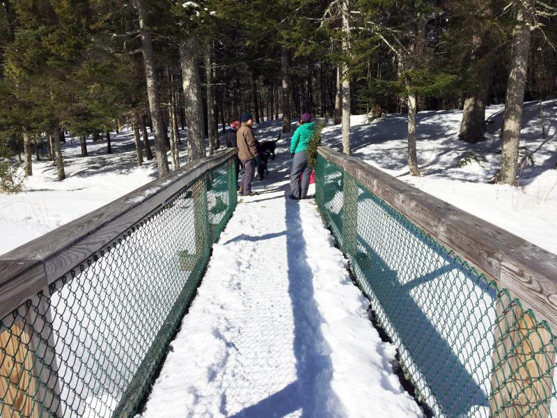 The bridge over Penny Lake. SUZI THAYER/Boothbay Register