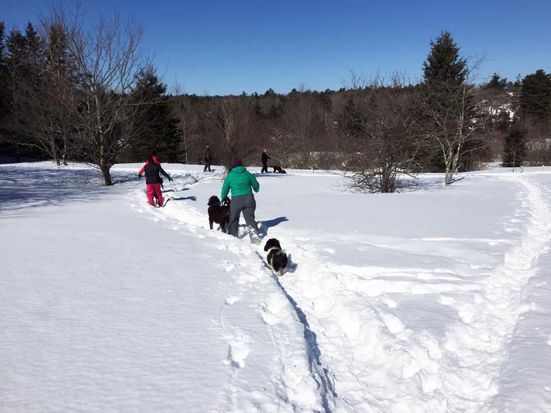 Elliot the dog did a good job of keeping up with his bigger companions. SUZI THAYER/Boothbay Register