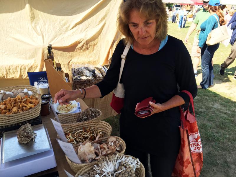 Sue Witt, a regular at the Boothbay Farmers Market, was being selective about the mushrooms she’d serve with a steak dinner. SUZI THAYER/Boothbay Register