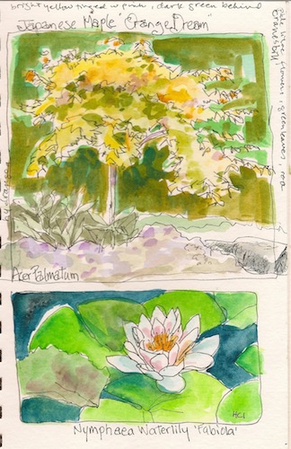 Botanical Garden by Hannah Ineson Hannah Ineson
