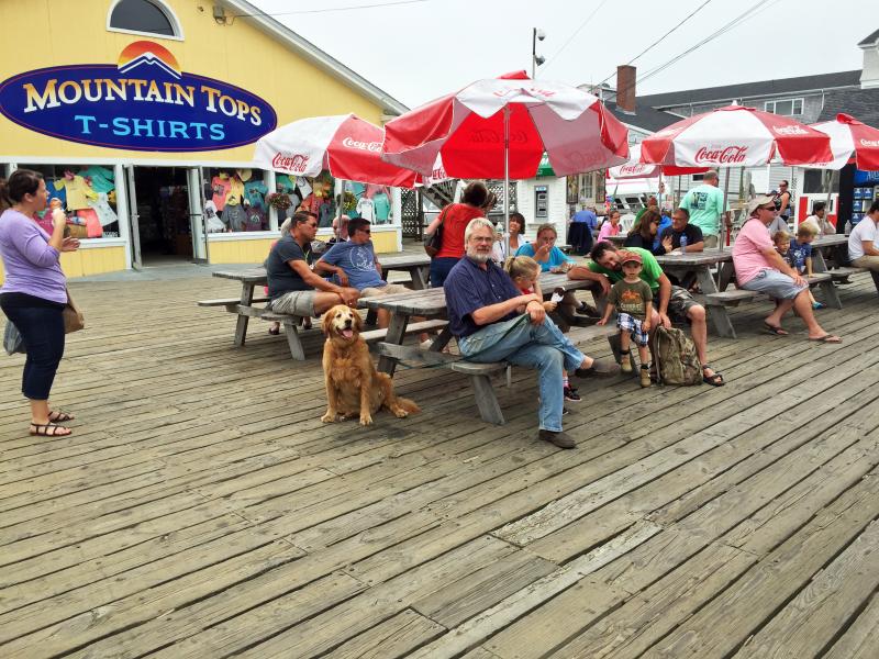 SUZI THAYER/Boothbay Register