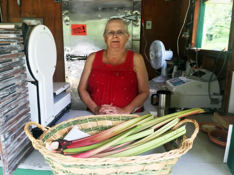 Renie Lowell at her daughter’s newly reopened Cunningham Farm Stand on Route 27 in Boothbay. SUZI THAYER/Boothbay Register