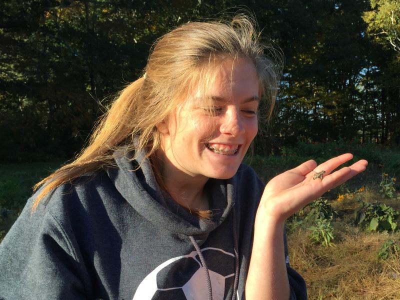 Hannah Cola holds a tiny frog and made sure to set it free away from the mayhem. KATRINA CLARK/Boothbay Register