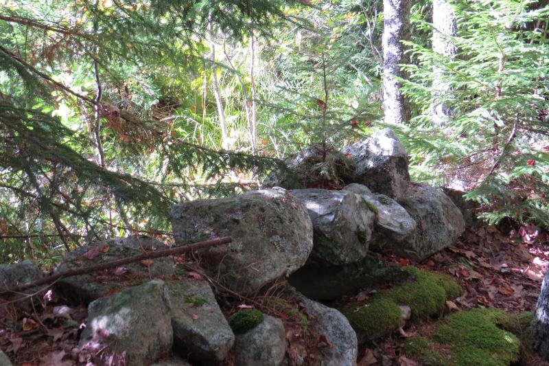 Stone walls are among the many inviting features of DRA’s new Rutherford Island Preserve trail in South Bristol. Courtesy photo