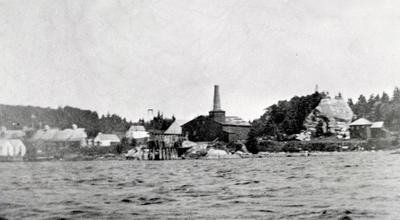 This circa 1895 image is the only view of the Gallup & Holmes, later Church Hathaway, pogie factory near the Luke and Miller properties at Linekin. South of the wharf, factory, and most of the subsidiary buildings is Sunset Rock and the pyramid-roofed house I, my husband, and children lived in. The roof was altered after a fire. Courtesy of the Boothbay Region Historical Society