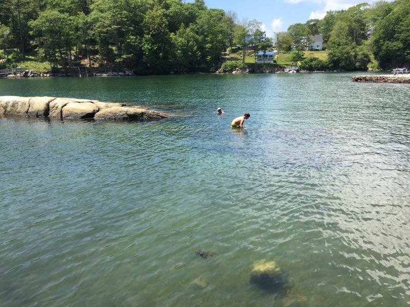 SUZI THAYER/Boothbay Register