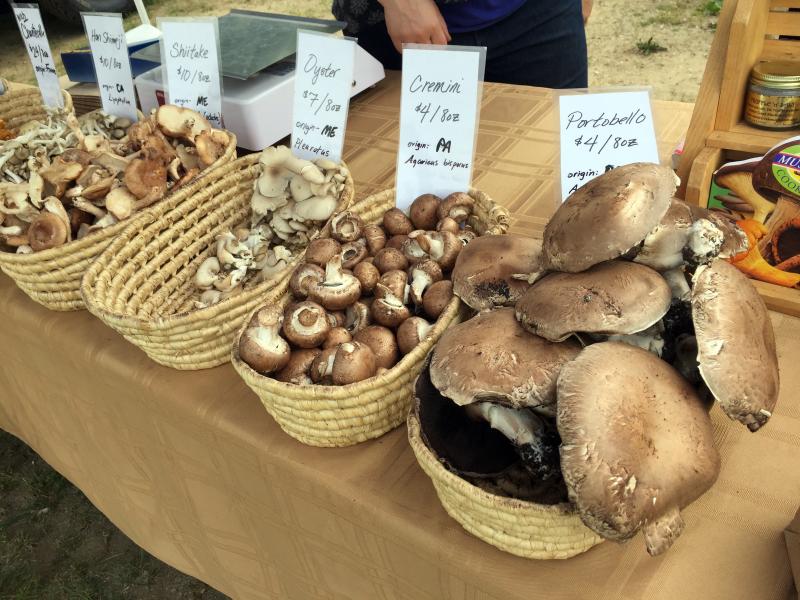 A display of wild and cultivated mushrooms at the Oyster Creek Mushroom Company’s stand at the Boothbay Farmers’ Market. SUZI THAYER/Boothbay Register