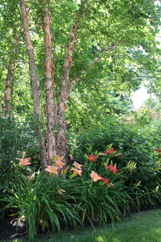 SUE MELLO/Boothbay Register