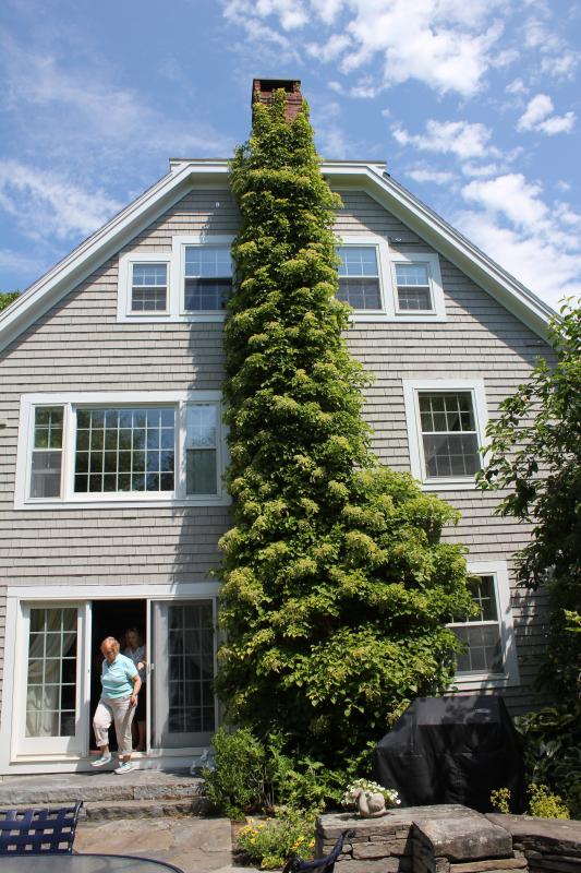 SUE MELLO/Boothbay Register