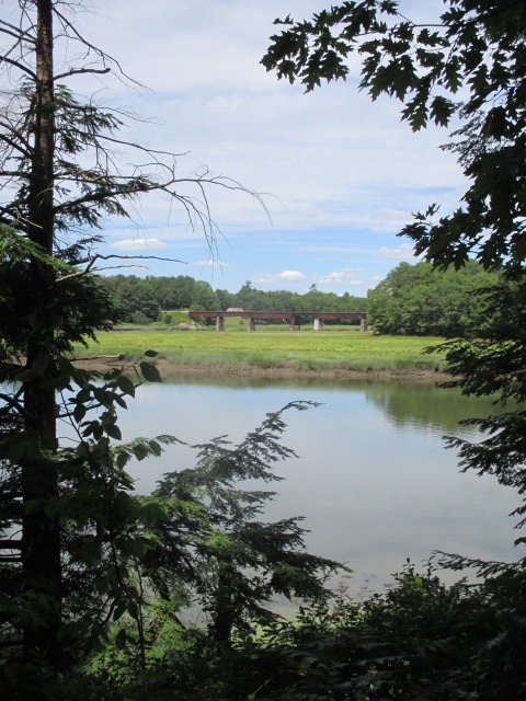 Saltwater marshes provide an important habitat for fish and birds. In the distance is a railroad bridge spanning the Marsh River as seen from SVCA’s Marsh River Preserve in Newcastle. PHIL DI VECE/Wiscasset Newspaper