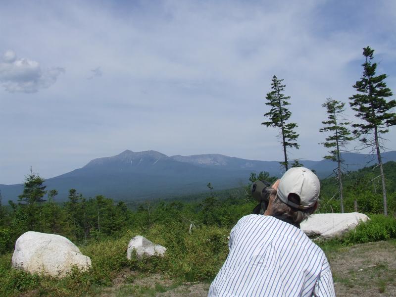 birds, birding, mt Katahdin, Katahdin Woods and Waters National Monument, Natural Resources Council of Maine, Allison Wells, NRCM