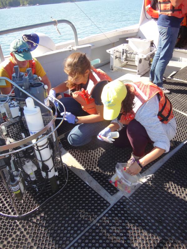 From left: Carl Huntsberger, Breanna Whittemore, and Whitley Gilbert fill sample bottles of water from the Damariscotta River that will be analyzed for different nutrients for their Estuarine Oceanography class. Courtesy photo