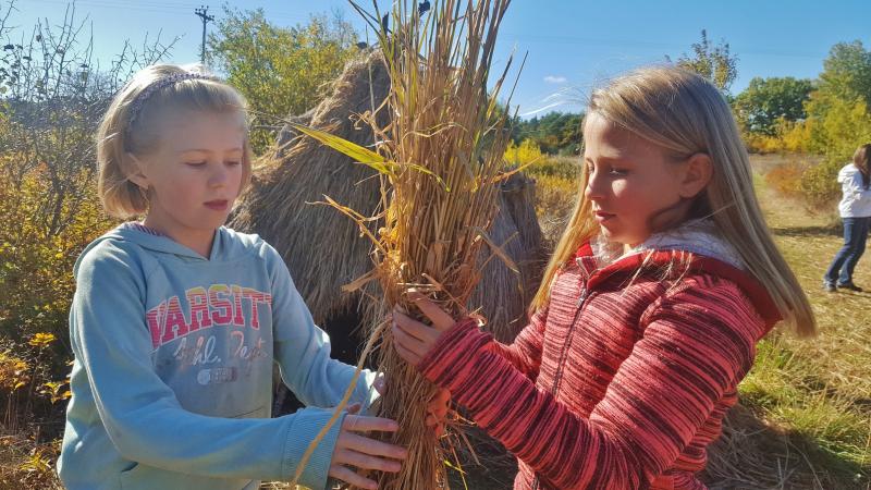 Working with reed canary grass to make a mat to cover a wigwam at the DRA are students from Miller Grade School in Waldoboro. Courtesy photo