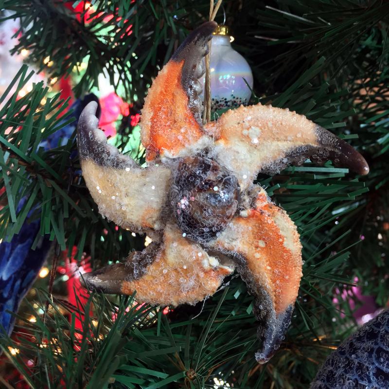 A crab claw ornament made by Barbara Lally adorns the Southport Library’s tree. SUZI THAYER/Boothbay Register