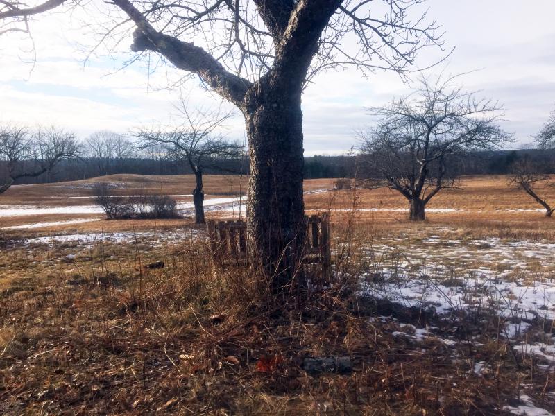 Empty bench at Singing Meadows. SUZI THAYER/Boothbay Register